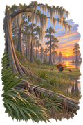 Turkey Hunting Swamp T-Shirt – DTF Print