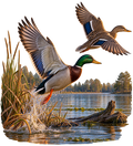 Flying Mallards T-Shirt – Duck Hunting Waterfowl DTF Print